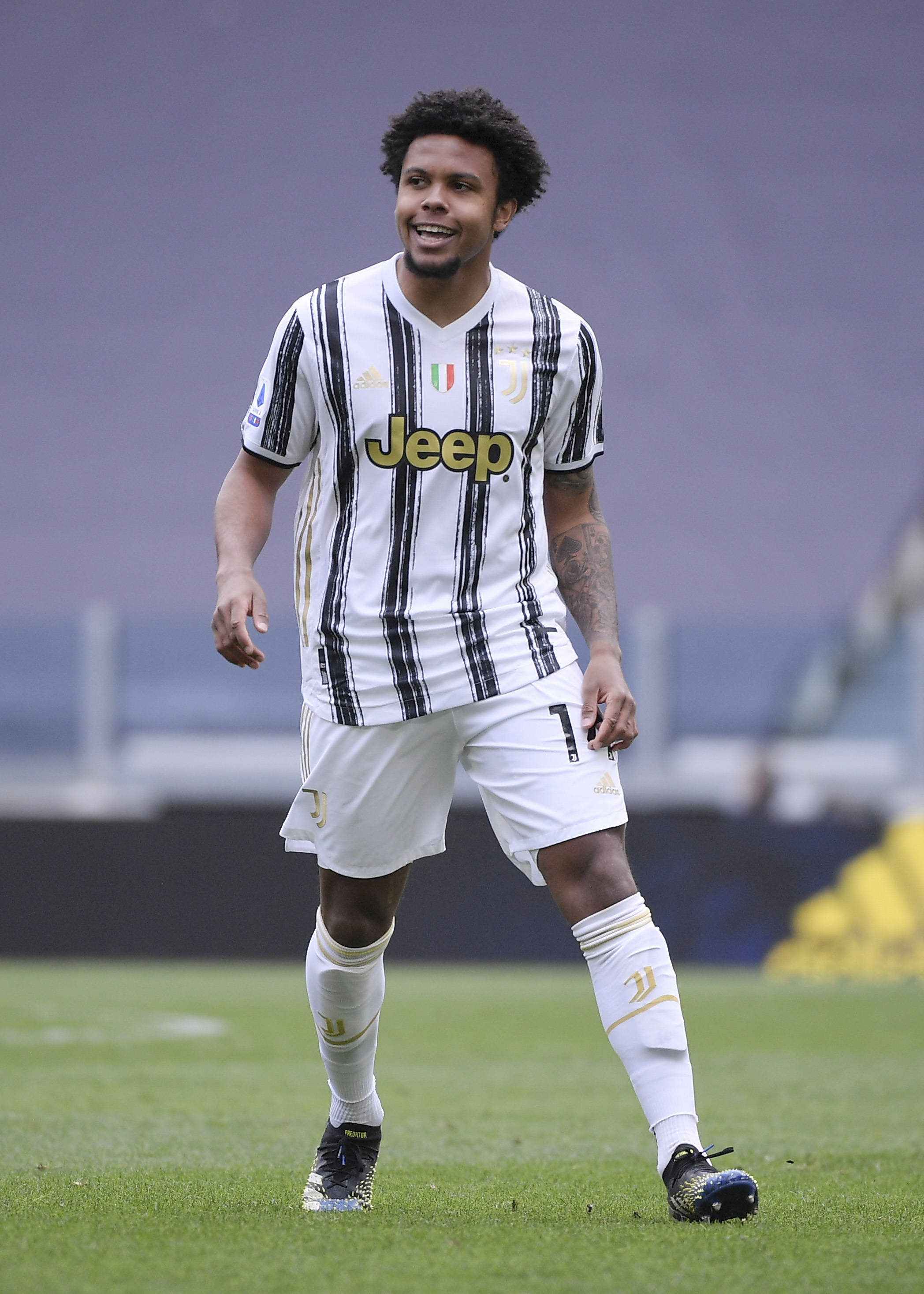 他们将目光 他们将目光